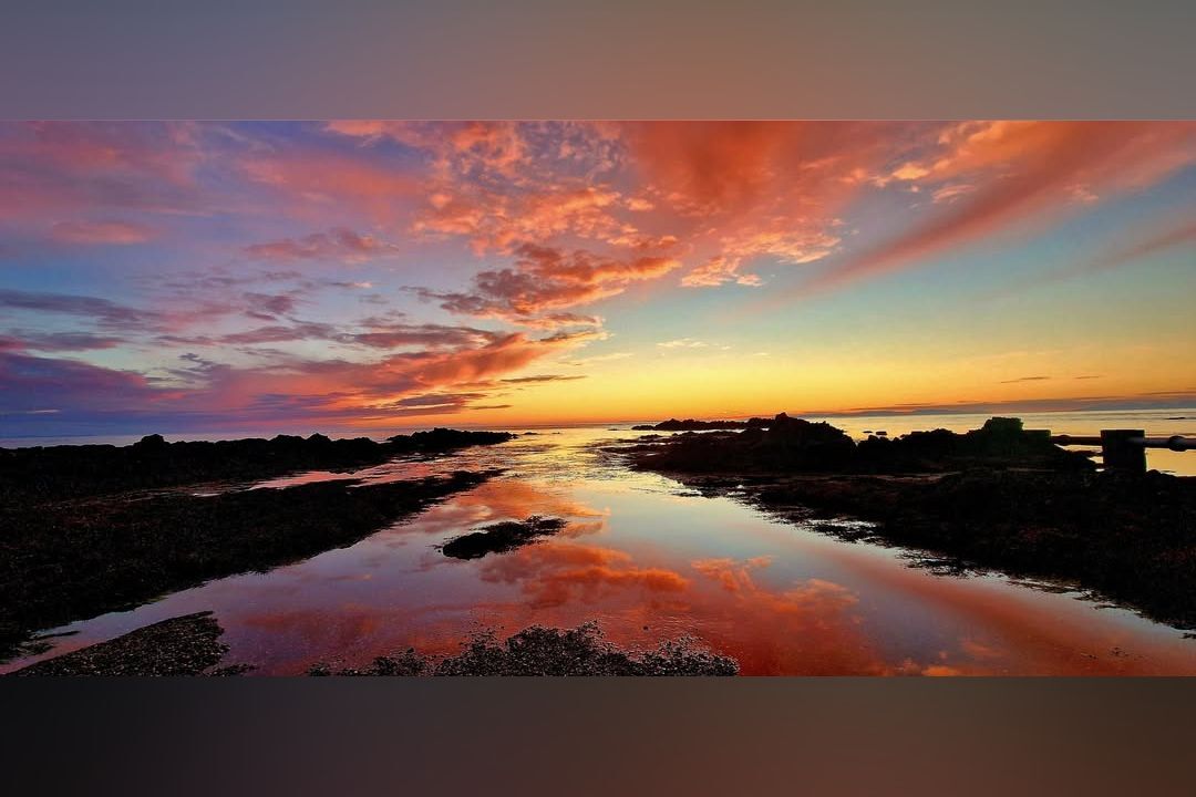 Photograph of the Week: This week’s photograph was taken by Jason Brown as he was leaving the Machrihanish Seabird Observatory, which he describes as the “best place to catch the sunset”. Photograph of the Week: This week’s photograph was taken by Jason Brown as he was leaving the Machrihanish Seabird Observatory, which he describes as the “best place to catch the sunset”.
