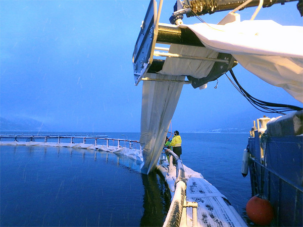 Exclusive protection from Bio Marine 