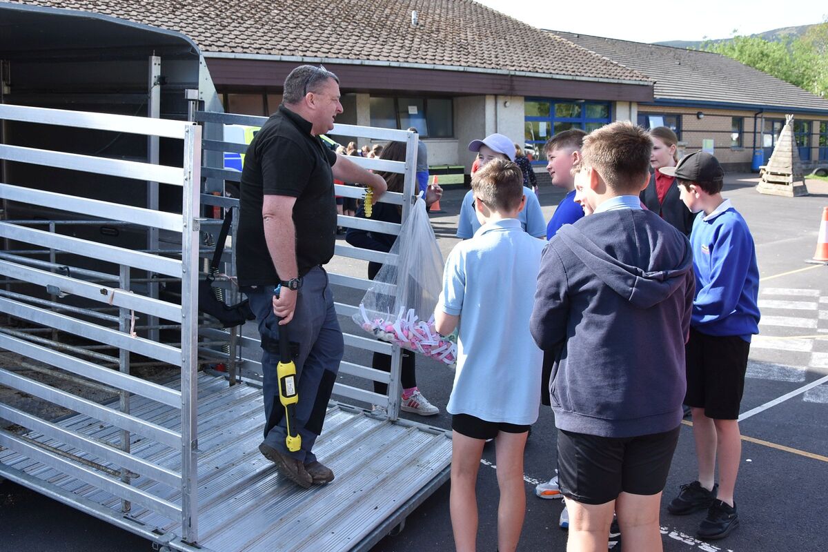 David Henderson of Kilpatrick Farm took along an ewe and its lamb and answered questions about farming and animal rearing. David Henderson of Kilpatrick Farm took along an ewe and its lamb and answered questions about farming and animal rearing.