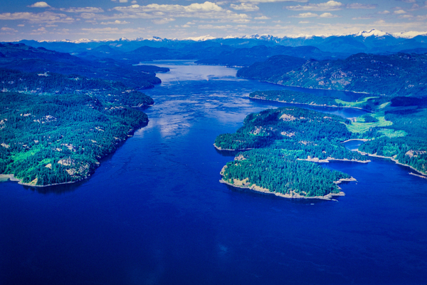 Eight-year study finds no link between farmed salmon numbers and sea lice in the wild
