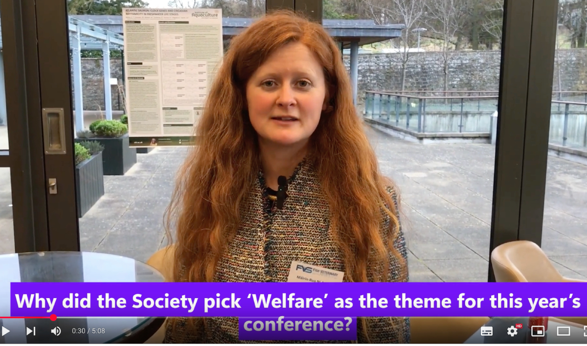 Máirin-Rua Ní Aodha, FVS President - March 2025