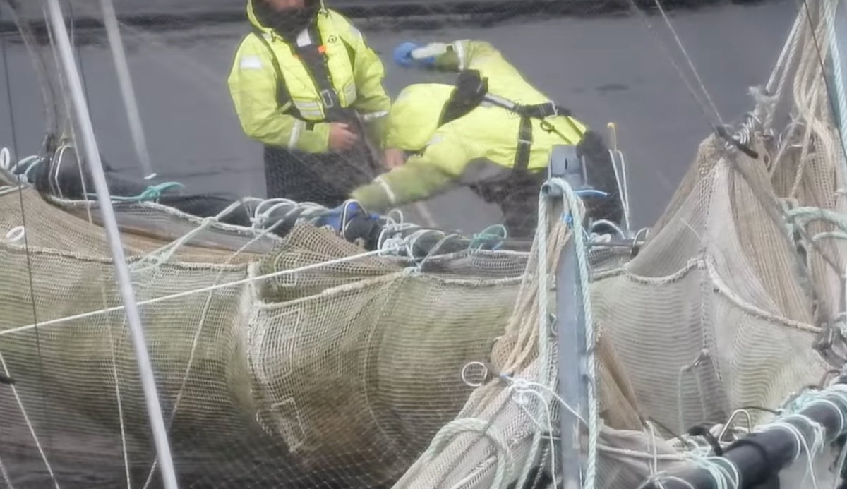 Mowi Loch Harport Green Britain video 20250519