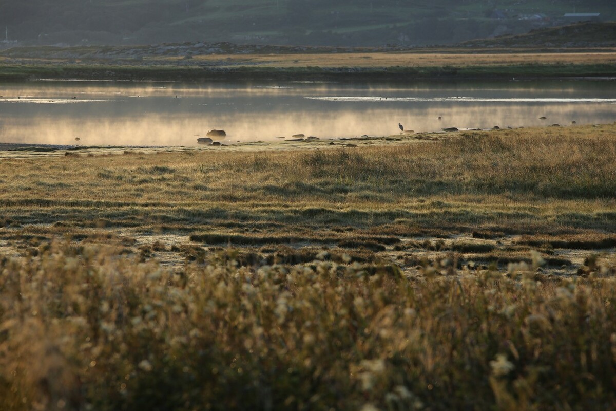 NO A21 Barrahormid 04 web NO A21 Barrahormid 04 web