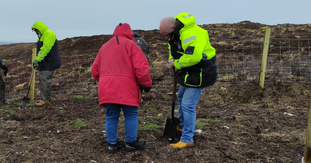300 new trees line Isle of Lewis coastal path