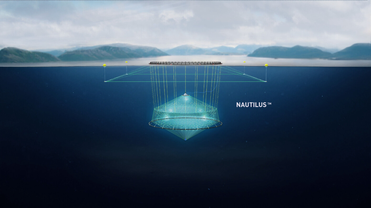 Ode Nautilus cage 20250521