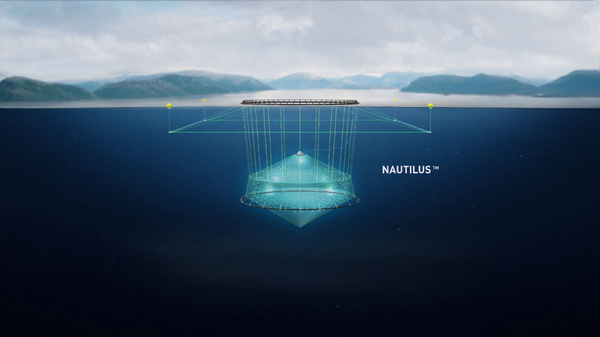 Cod farmer invests in submersible cages