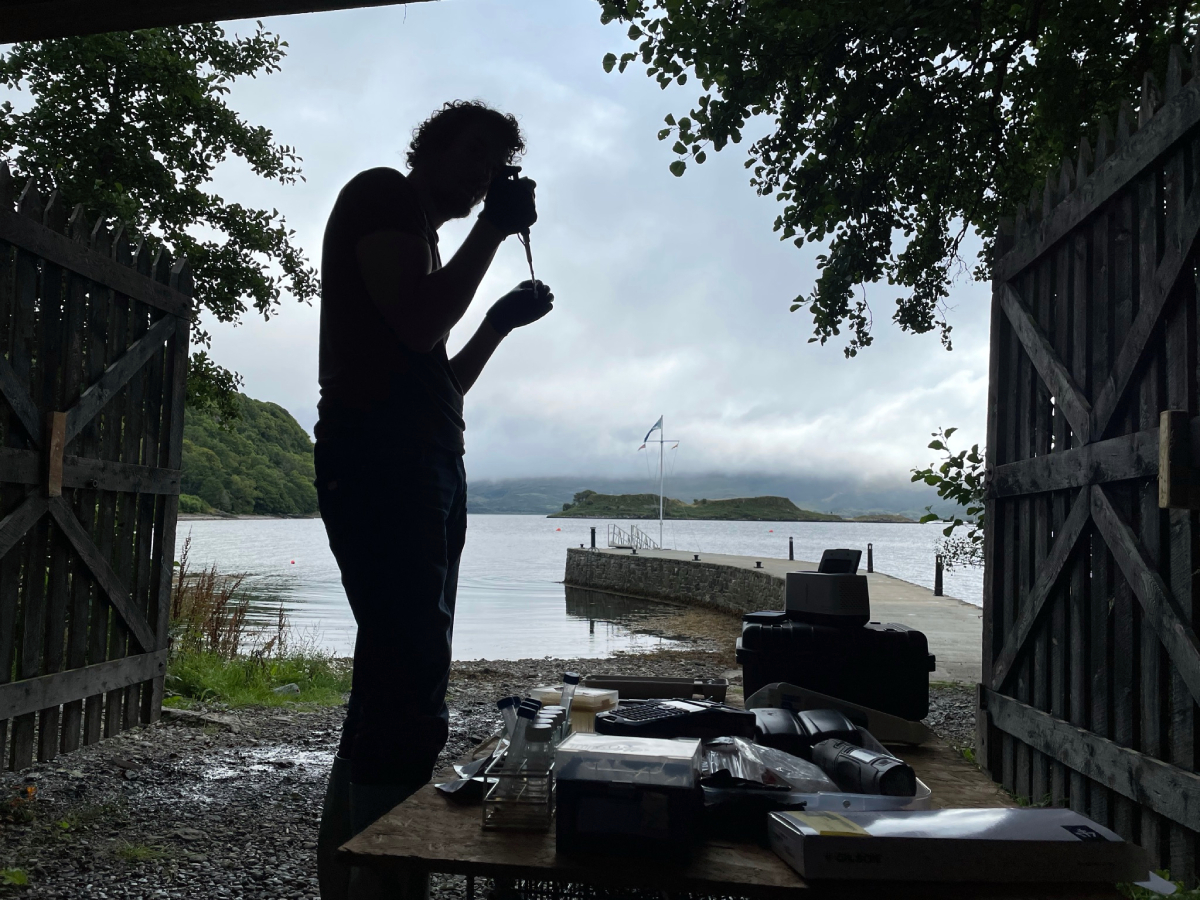 Tim Bean oyster sampling IMG 9079 20250522