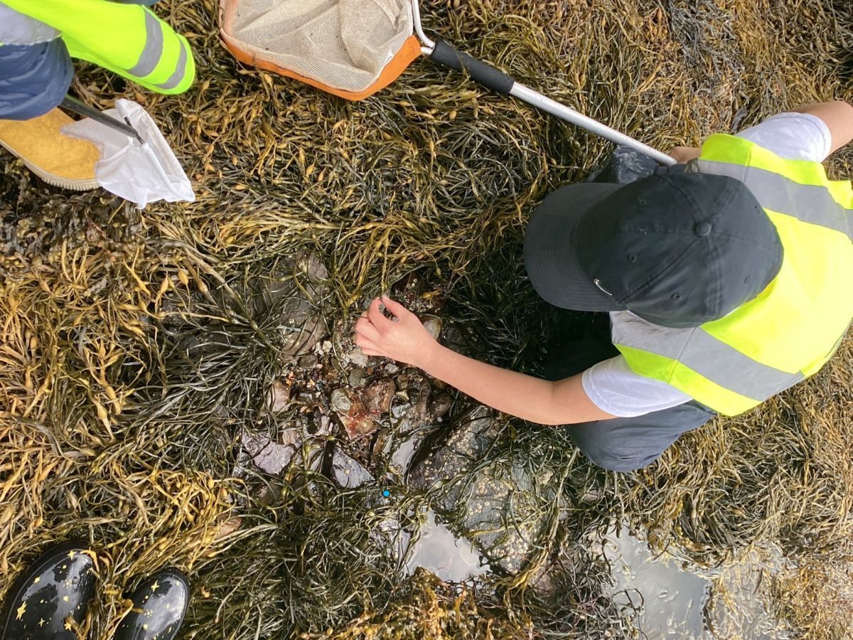 WEB NO A21 LookingForSeaCreatures 2025 CraignishPrimaryHopeSpotVisit WEB NO A21 LookingForSeaCreatures 2025 CraignishPrimaryHopeSpotVisit