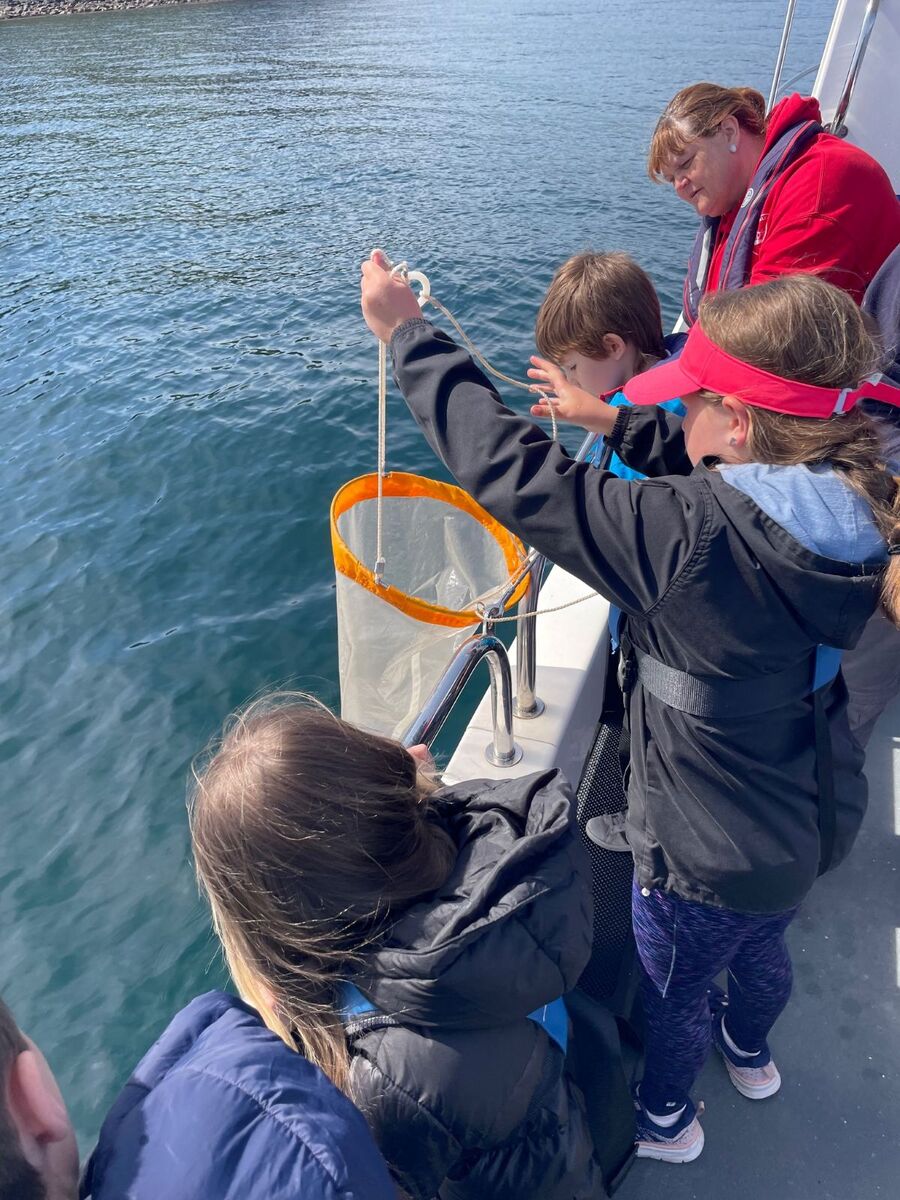 The youngsters gathered plankton in a net so they could study it on board the research vessel. Photograph: Carradale Primary School. The youngsters gathered plankton in a net so they could study it on board the research vessel. Photograph: Carradale Primary School.