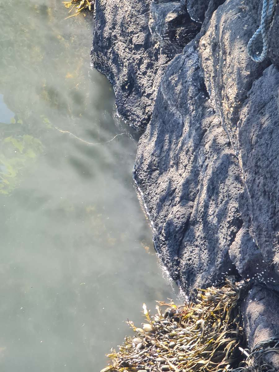 Foul smelling mysterious "sewage leak" being investigated by environmental chiefs