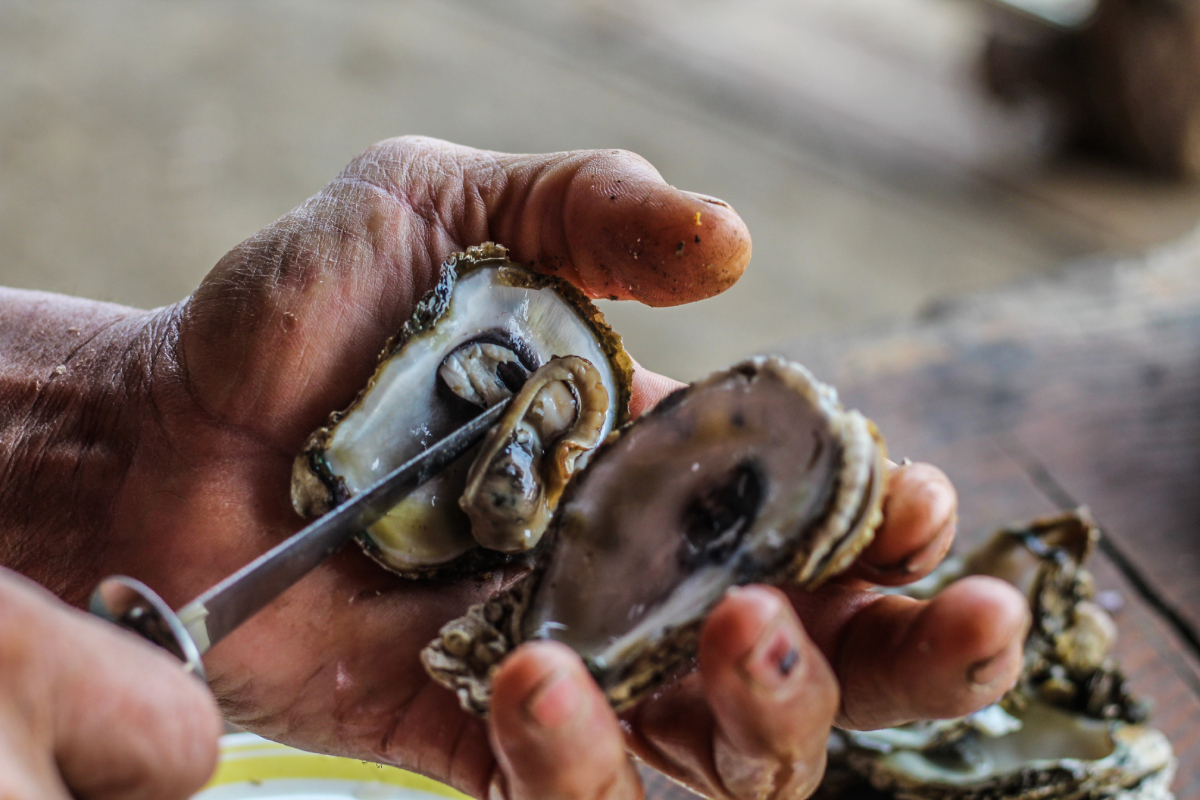 Robots could help shellfish growers understand the seabed