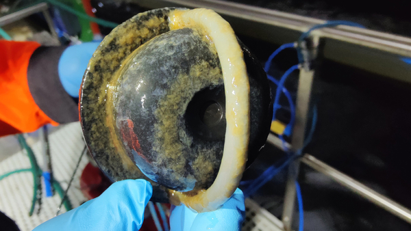 Tired of scrubbing your probes?