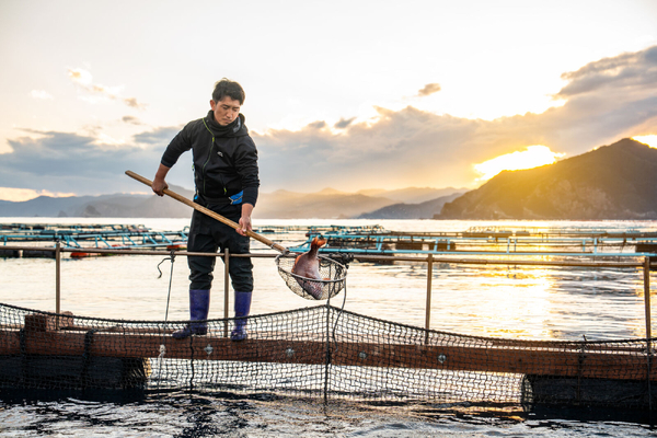 ASC Chain of Custody changes focus on human rights and animal welfare