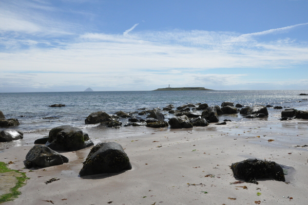 Arran Banner Leader: Is anyone in charge?