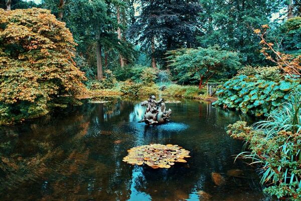 Explore the Cowal Peninsula