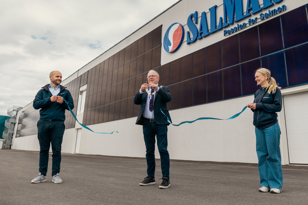 SalMar turns to solar power at key smolt plant