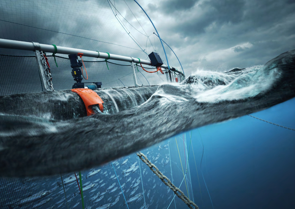 Revenues soared for ScaleAQ in 2024