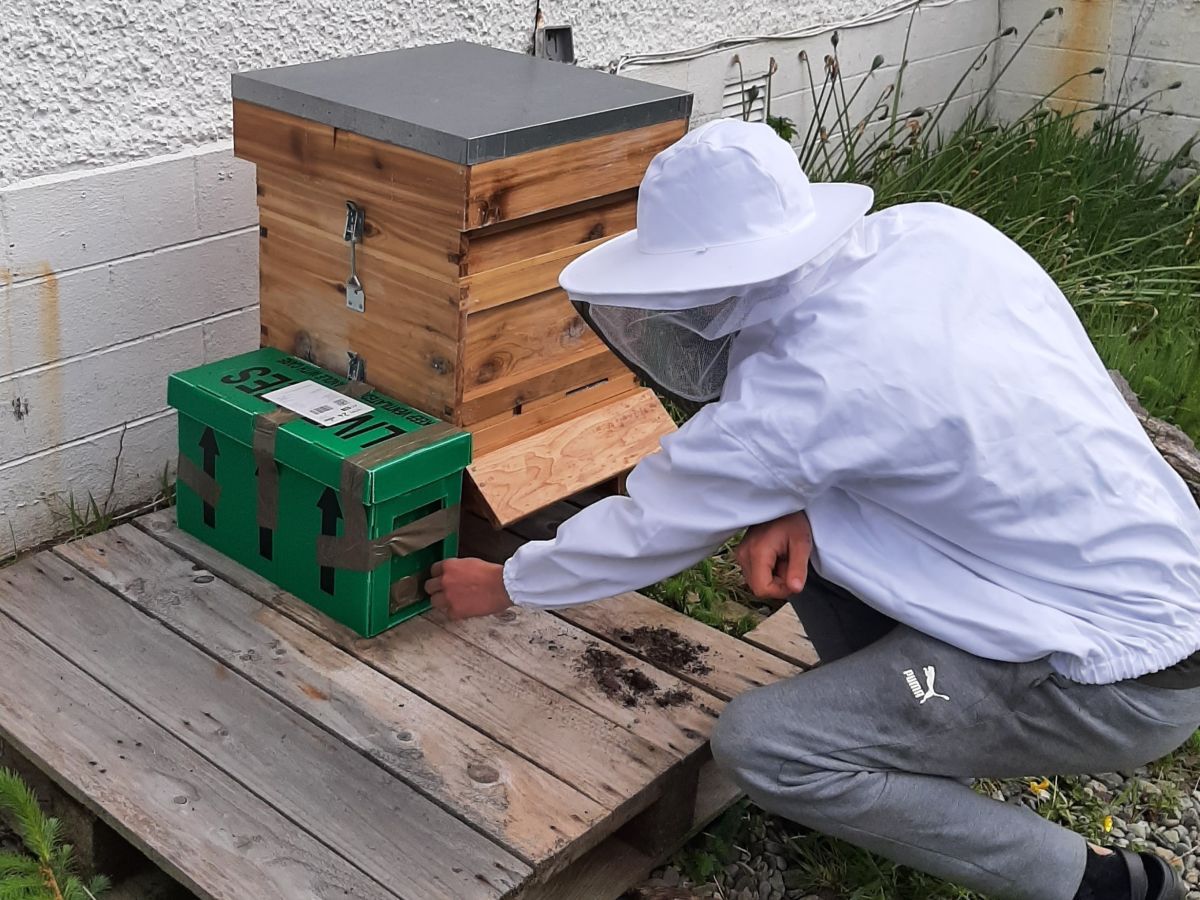 Beekeeper calls on Mid Argyll landowners for help