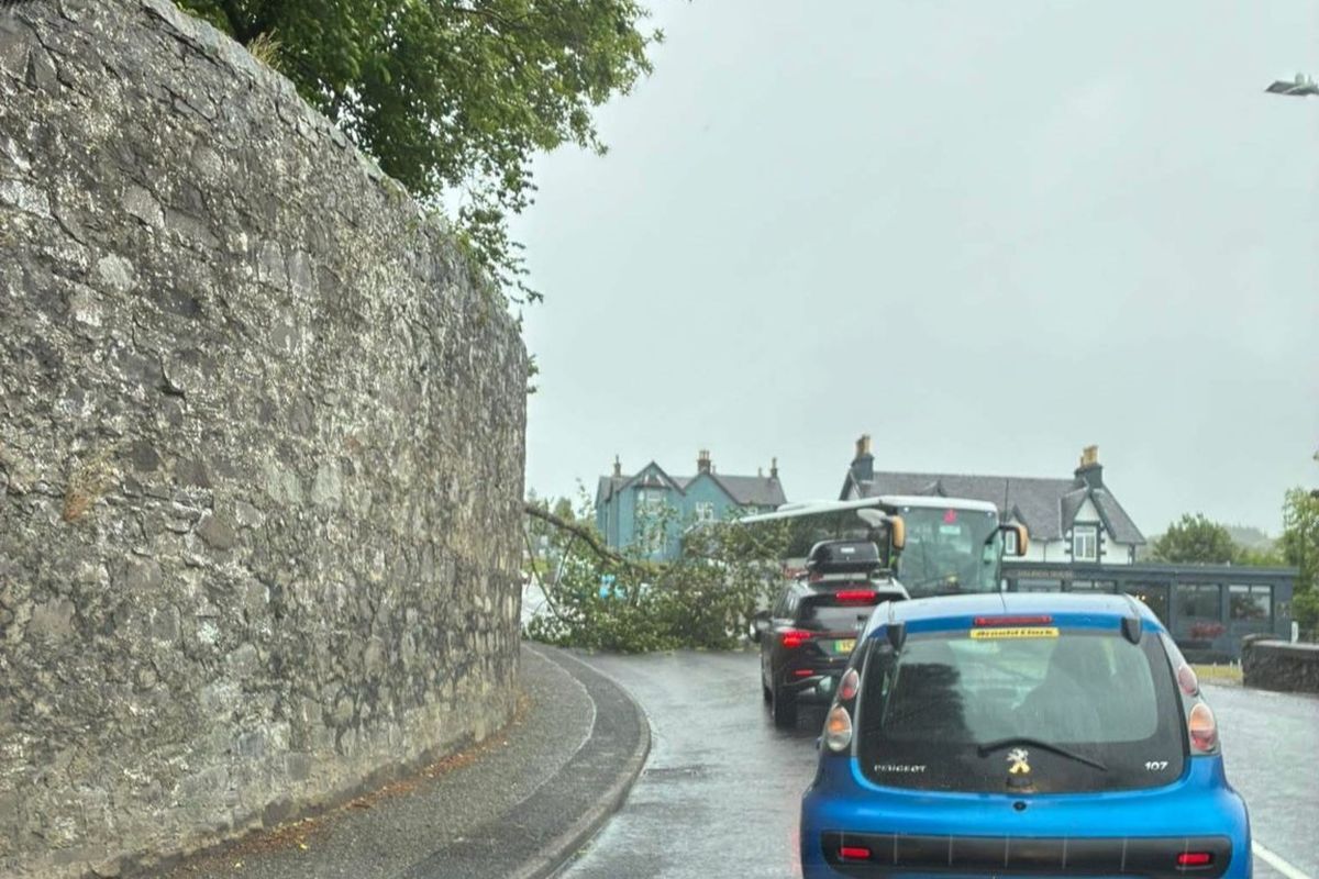 Fallen tree on the Bealach-an-Righ cleared