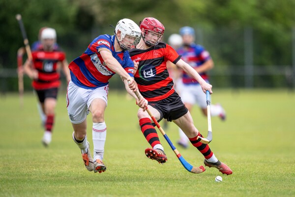 South Shinty Round-up &ndash; 24.5.25