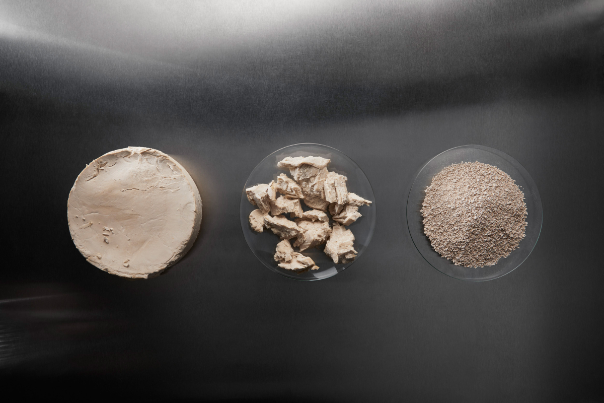 EniferBio 23.3.2022 0124 20250603