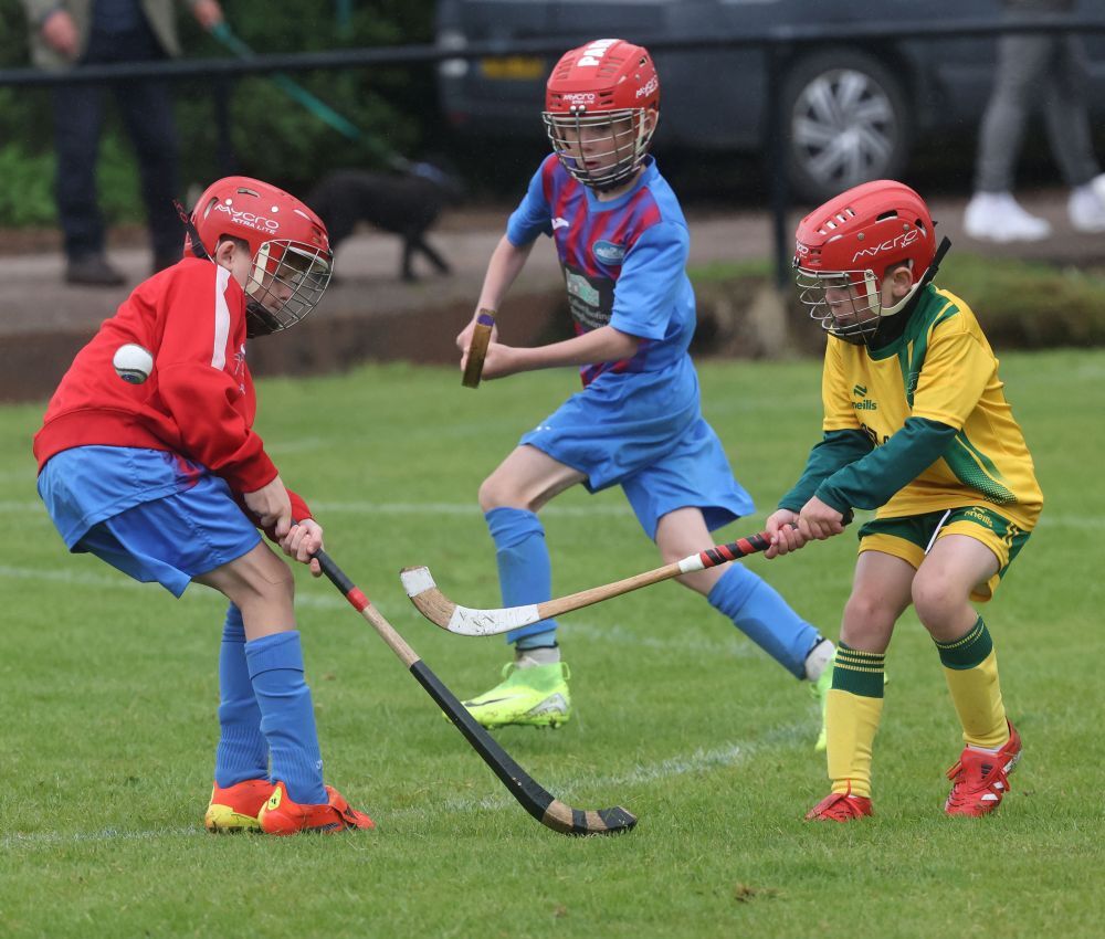 West Coast Today - Sport - Primary shinty players prove a big hit at ...