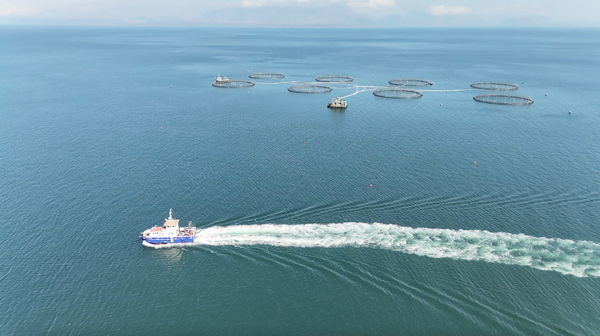 Mowi takes on dedicated seabed survey vessel