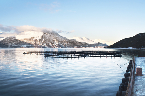 Norwegian parliament delays aquaculture reforms