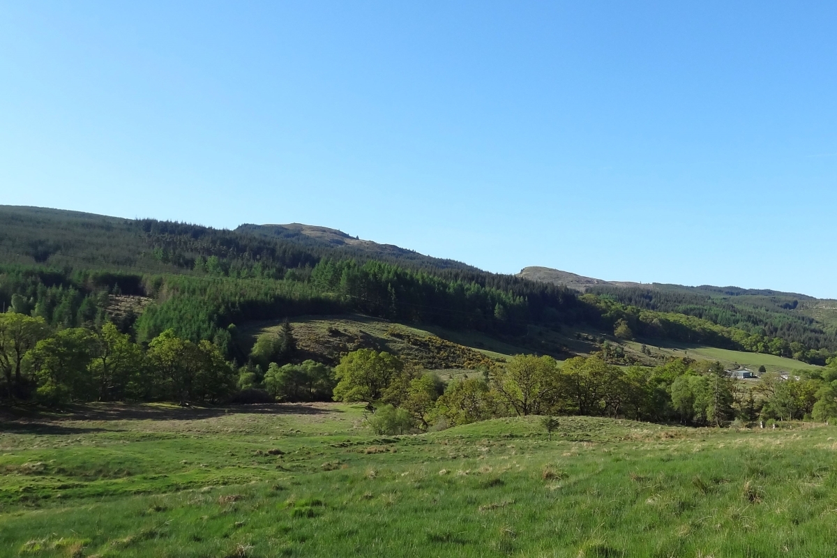 Forestry and Land Scotland consult on west Cowal forests' future