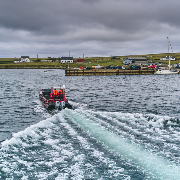 Cooke Scotland looking at further Shetland growth