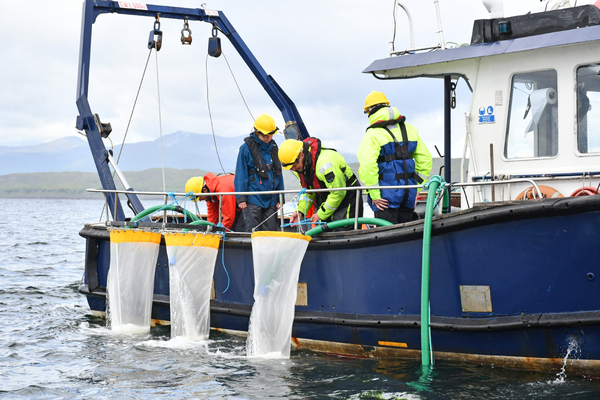 Talking about a revolution