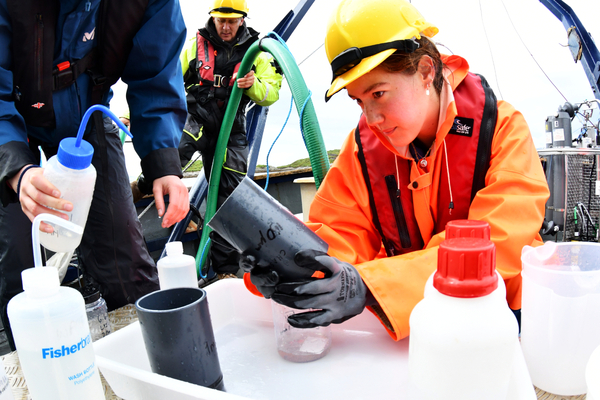 Sea lice research holds out hope for better detection methods