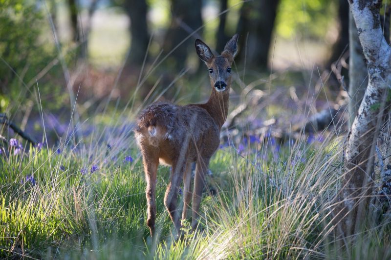 6. National Nature Reserves