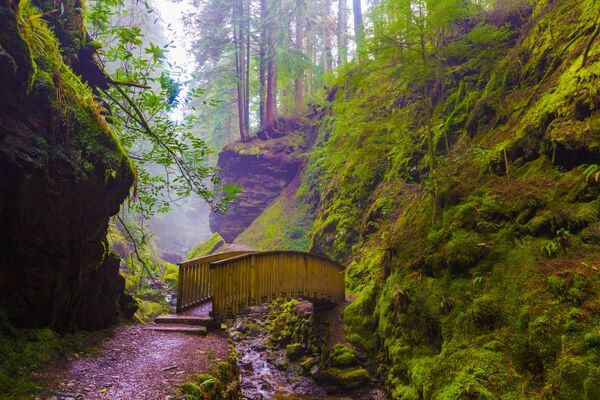 The Cowal Peninsula - Top 10 Picks