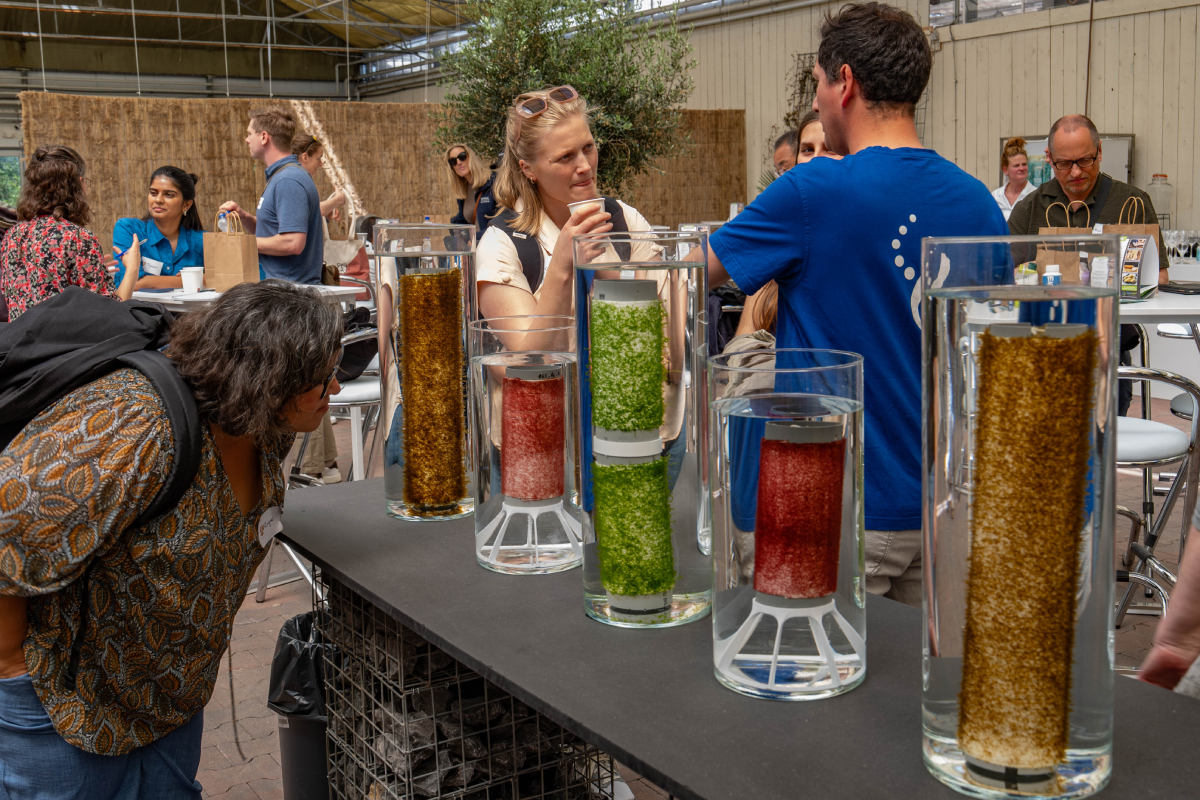 Klaas Eissens Seagriculture site visit Hortimare 20250623 Klaas Eissens Seagriculture site visit Hortimare 20250623