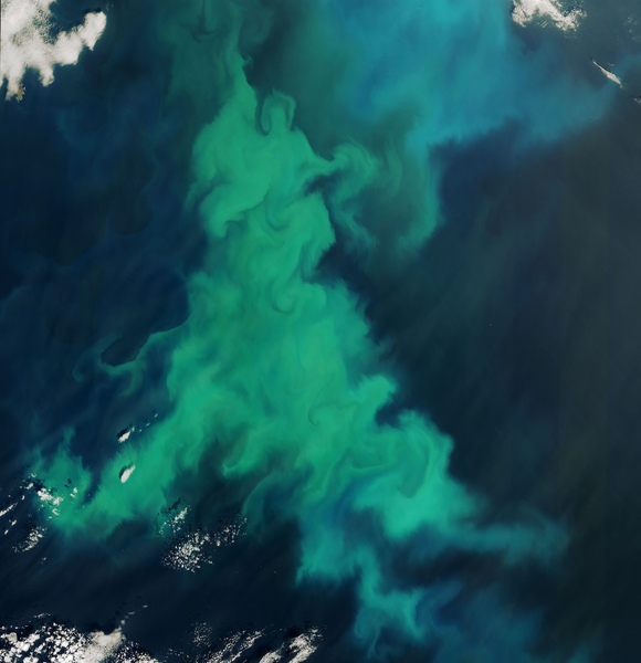 Algal bloom turns seas off Shetland bright turquoise
