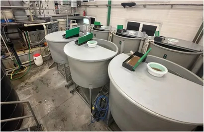 experimental RAS tanks experimental RAS tanks