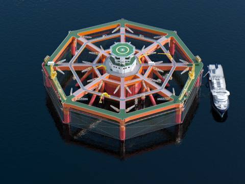 Larger areas proposed in new offshore fish farm study