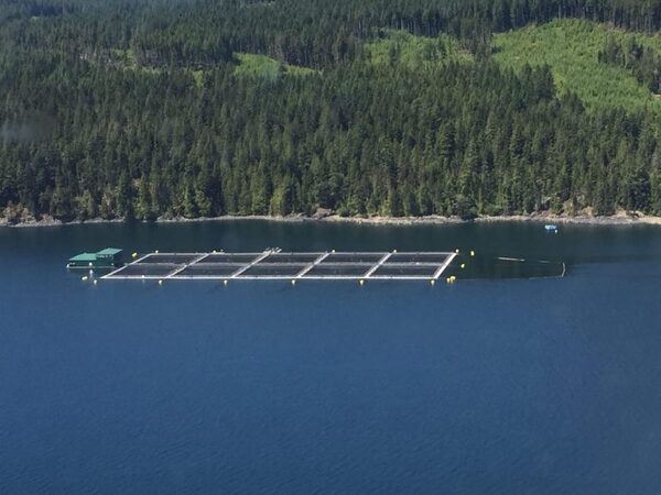 Report highlights hope behind BC closures