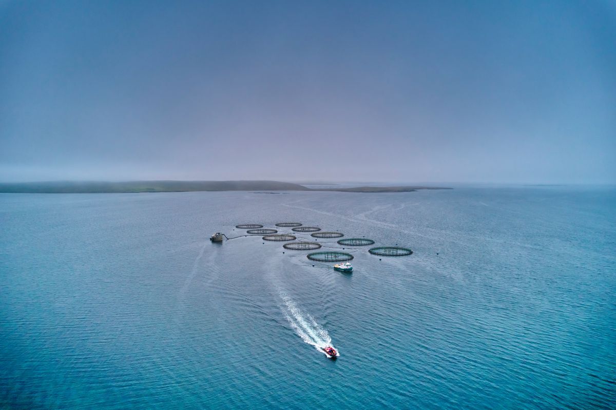 Shetland Seawater (33) UHI 30june25