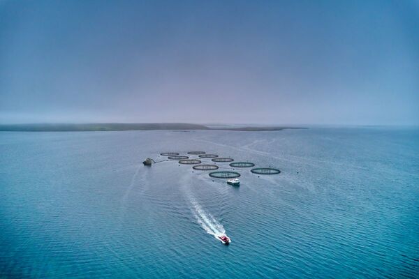 Aquaculture Apprenticeships (SCQF Levels 5–9)