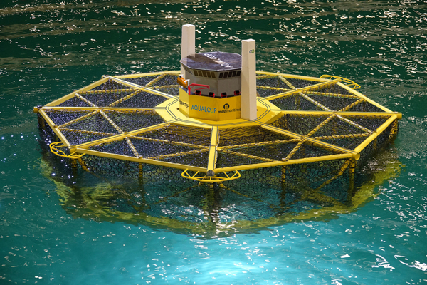 Norwegian-Italian partnership sets sights on offshore aquaculture