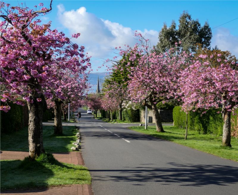 2. Garden City of the Clyde 2. Garden City of the Clyde