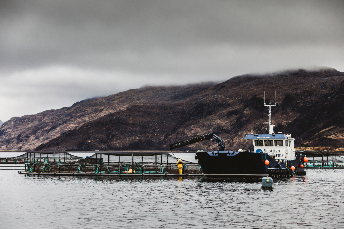 ScottishSeaFarms Solas Na Mara Loch Nevis