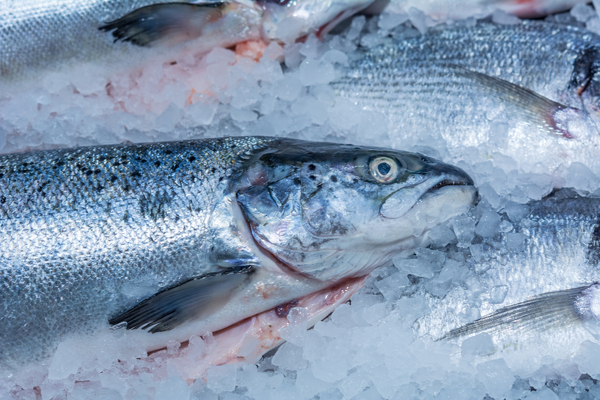 Norwegian seafood exports hit a record half year high