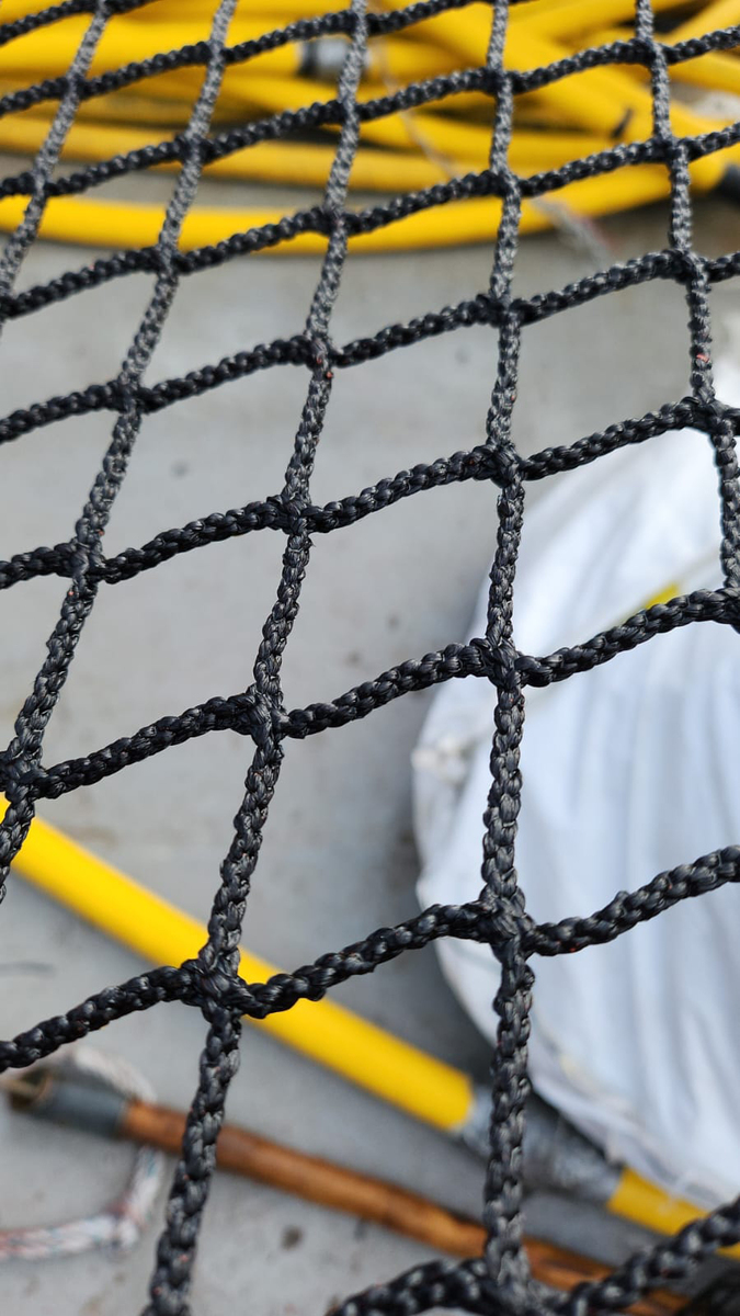 Lindgren Pitman 25 06 09 Figure 1 LEAD