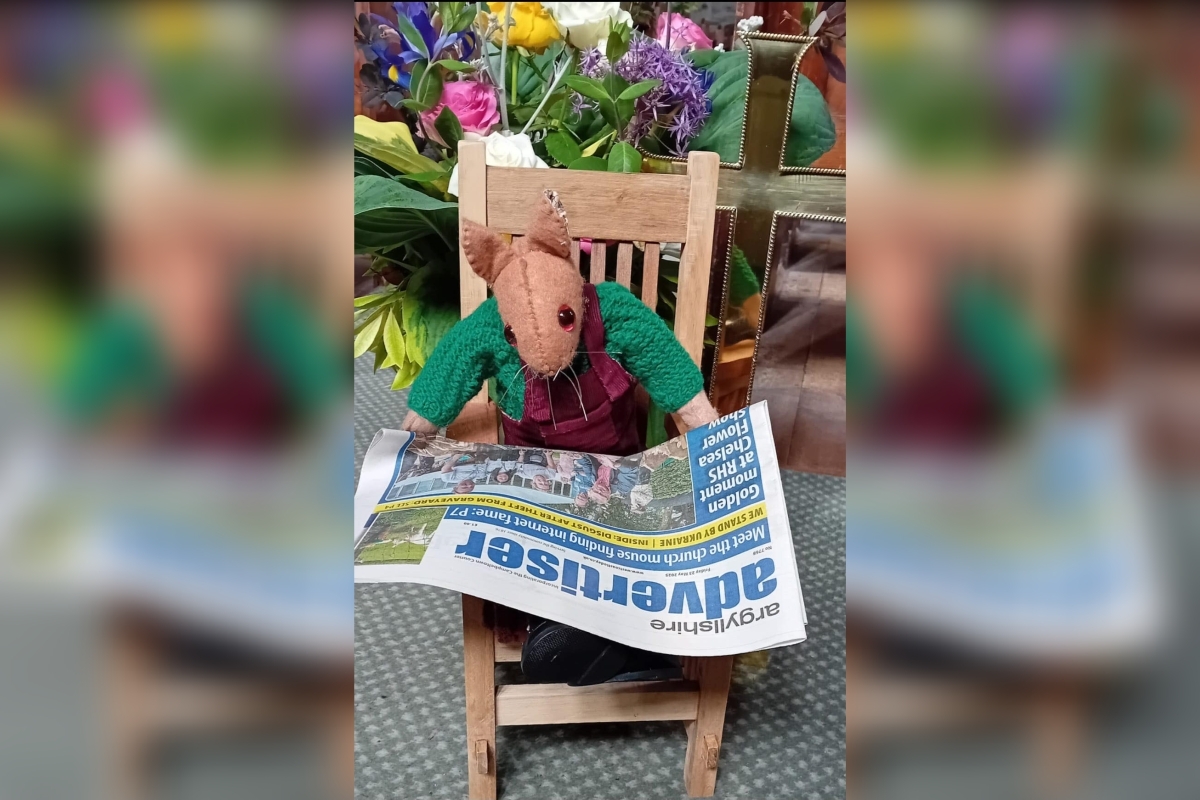 Skipness church mouse Brendan reading his favourite newspaper, the Argyllshire Advertiser. Skipness church mouse Brendan reading his favourite newspaper, the Argyllshire Advertiser.