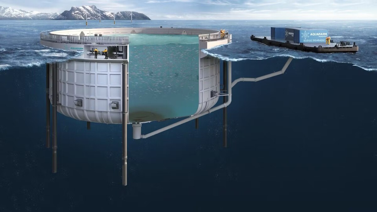 Picture1 Aquafarm 24jun25 Picture1 Aquafarm 24jun25