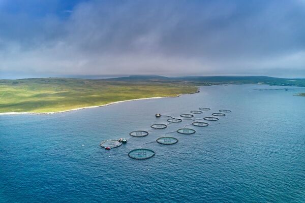 Aquaculture training at UHI Shetland