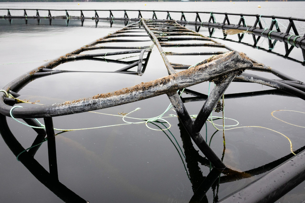Aquaculture debris not harming fish, says Canadian government